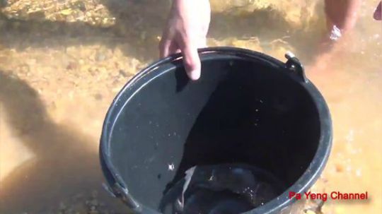 越南柬埔寨小姐姐捕鱼系列