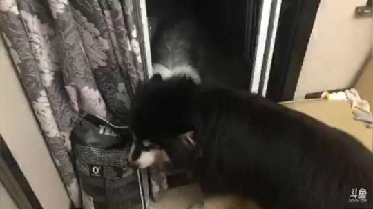 冒险之王师傅！！！ 2019-09-20 00点场
