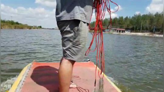 哆啦爱梦梦发布了一个斗鱼视频2019-09-20