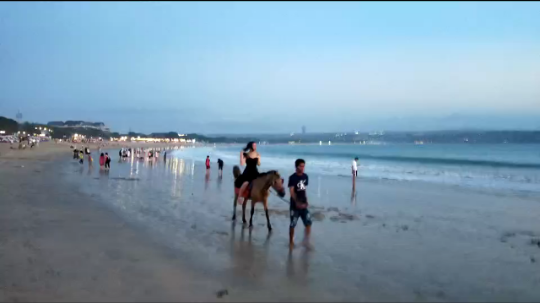 可爱的小毛驴