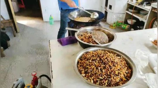 哆啦爱梦梦发布了一个斗鱼视频2019-09-21