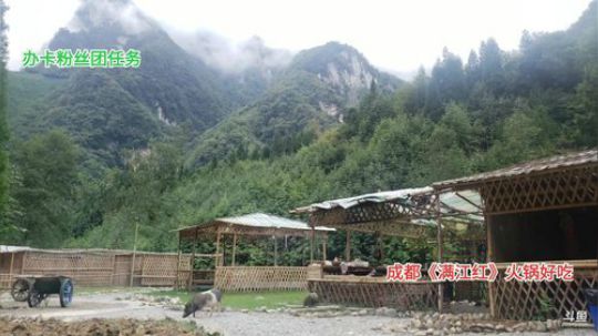 开始新的一天(≧ω≦)/ 2019-09-17 10点场