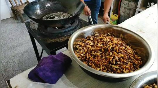 科头溜子发布了一个斗鱼视频2019-09-21