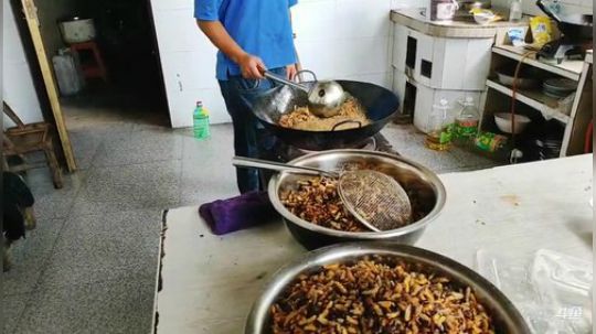 哆啦爱梦梦发布了一个斗鱼视频2019-09-21