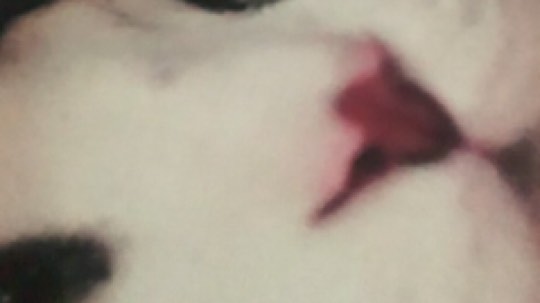 耿枫QUQ发布了一个斗鱼视频2019-09-21