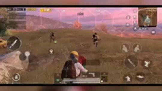 啊哈，纪念一下我在S城捡回来的丫丫，哈哈哈这俩菜鸡平底锅互啄