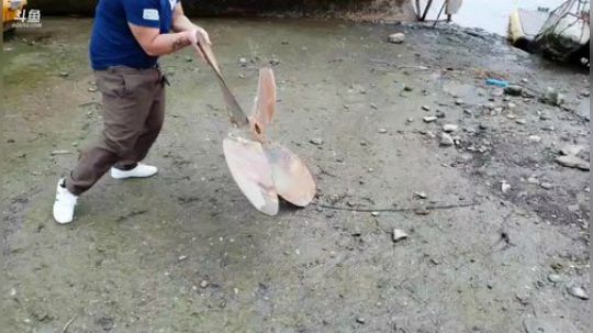 科头溜子发布了一个斗鱼视频2019-09-22