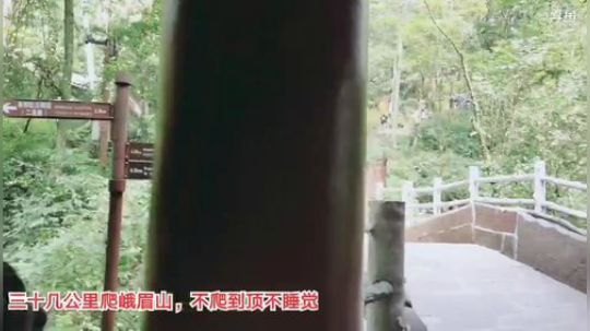 登月团丶离去发布了一个斗鱼视频2019-09-23