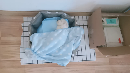 小奶瓶  睡着了