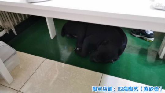 我在斗鱼看无尽无尽的无尽直播美食