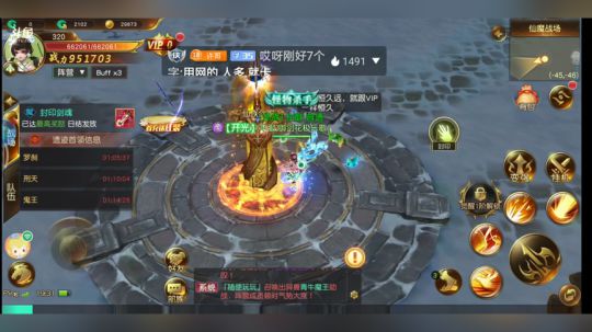 金峰葡萄