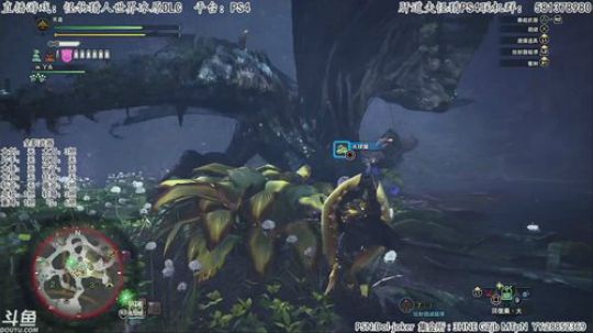 肝道夫：斗鱼NO1惨叫主播！全职进行中！ 2019-09-21 20点场