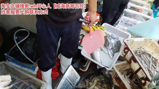 龙马精神丶老狼哥发布了一个斗鱼视频2019-09-24