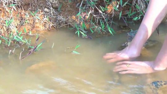 越南柬埔寨小姐姐捕鱼系列