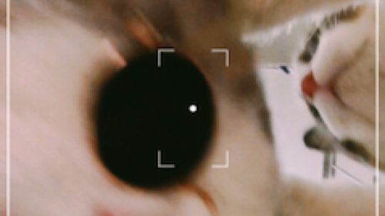 别爱我 没结果 除非花手摇过我[呲牙][呲牙]