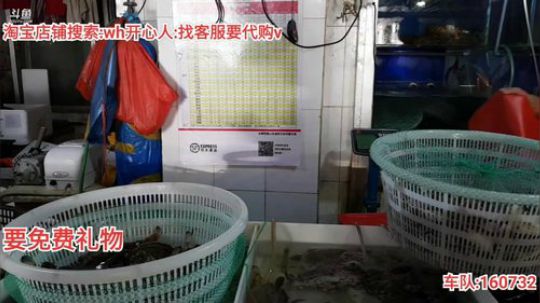 科头溜子发布了一个斗鱼视频2019-09-26