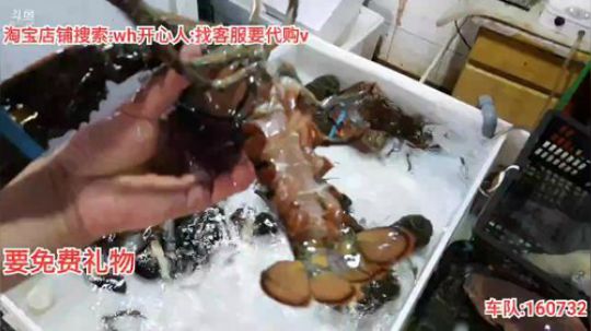 龙马精神丶老狼哥发布了一个斗鱼视频2019-09-26