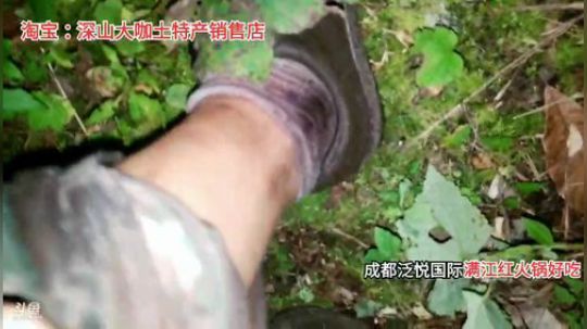 剑指华峰冲冲冲冲冲冲冲 2019-09-26 18点场