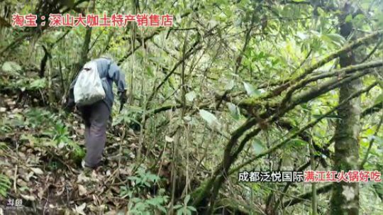 剑指华峰冲冲冲冲冲冲冲 2019-09-26 11点场