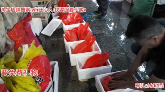 西北老狼哥哥发布了一个斗鱼视频2019-09-27