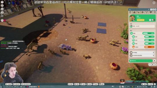 野生动物园不一样的动物园之星 2019-09-27 11点场