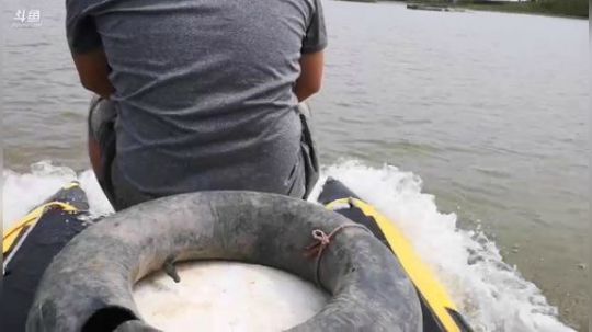 哆啦爱梦梦发布了一个斗鱼视频2019-09-27