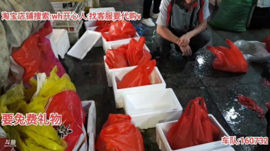 西北老狼哥哥发布了一个斗鱼视频2019-09-27