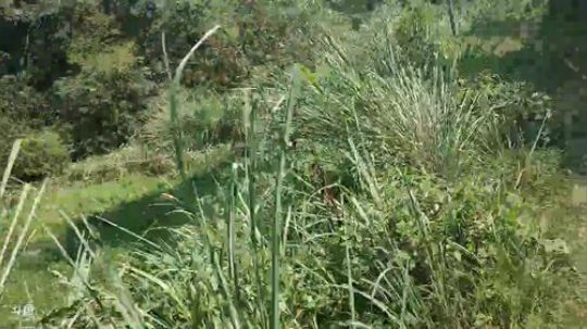 户外生活48小时开始了。 2019-09-28 12点场