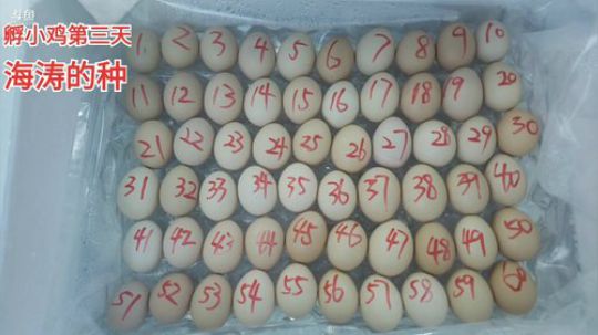 丿Good丶发布了一个斗鱼视频2019-09-28