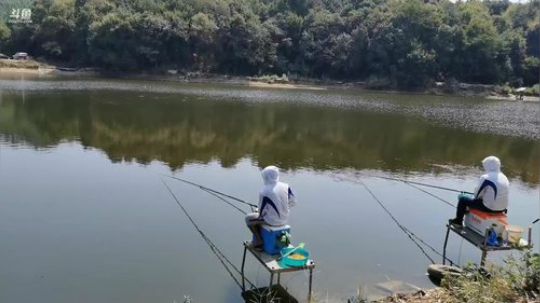 梓山湖黑坑钓翘嘴 2019-09-28 11点场