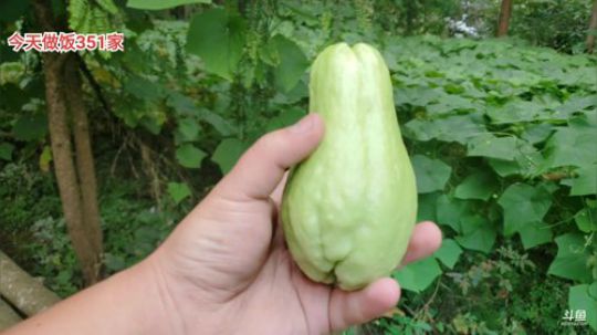 结账日(≧ω≦)/ 2019-09-28 15点场