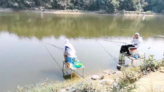 梓山湖黑坑钓翘嘴 2019-09-28 13点场