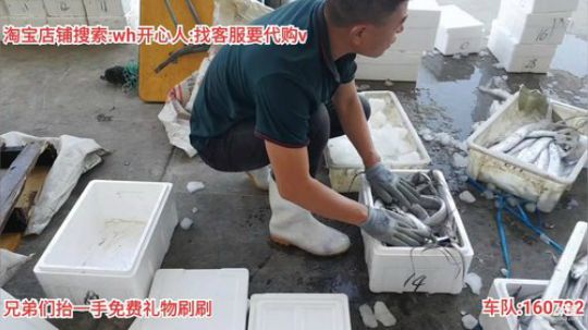 西北老狼哥哥发布了一个斗鱼视频2019-09-28