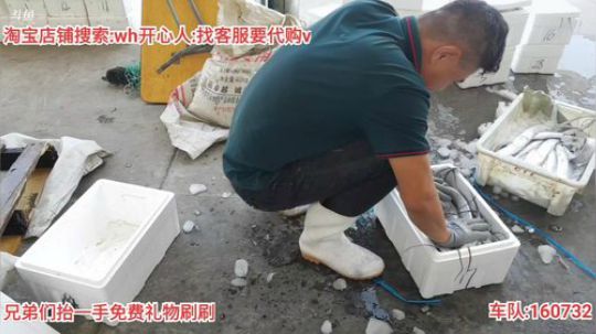 西北老狼哥哥发布了一个斗鱼视频2019-09-28