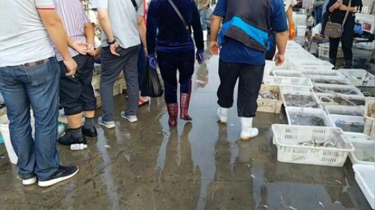 哆啦爱梦梦发布了一个斗鱼视频2019-09-28