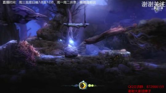 大白做了绝育，有些心不在焉请见谅 2019-09-27 22点场