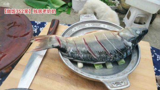 今天去一个老太太家做饭(≧ω≦)/ 2019-09-29 16点场