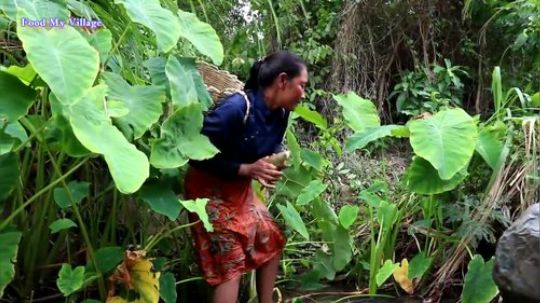 - 我的村庄系列 -泥上烧制的食物
