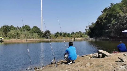 抛竿水怪… 2019-09-29 11点场