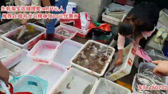 西北老狼哥哥发布了一个斗鱼视频2019-09-30