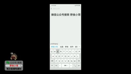 我在斗鱼看野食小哥直播美食