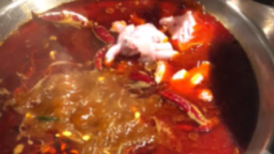 蛇门美杜莎发布了一个斗鱼视频2019-10-01