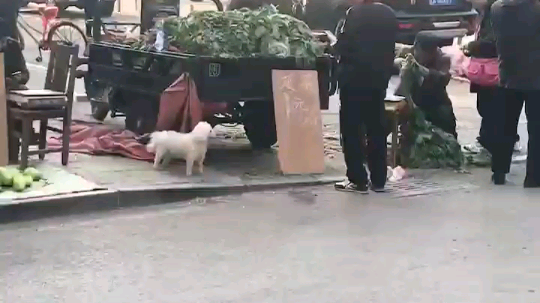 嘉啊123发布了一个斗鱼视频2019-10-01