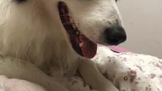 祝大家十一快乐