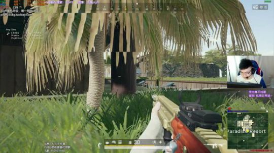 我在斗鱼看pigff直播绝地求生