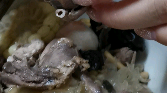 你们看过没生出来的鹌鹑蛋吗？还有壳的[得意]