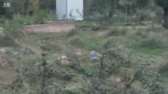 荒废百年的万人坑 2019-10-03 18点场