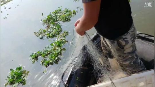 1.5倍亲密度！持续打卡！ 2019-09-28 14点场