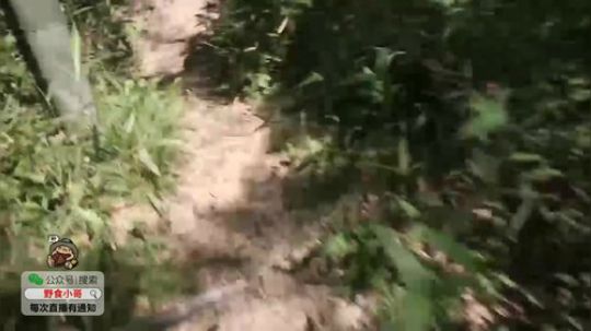 哆啦爱梦梦发布了一个斗鱼视频2019-10-03