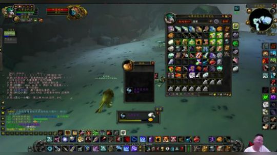 魔兽世界怀旧服：替补的时候刷出了肌腱，但是团本出了叶子，啊啊